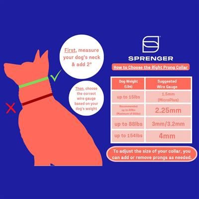 Sprenger Training Collar