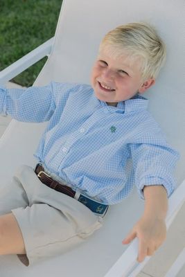 Roscoe Button Down Shirt- Blue Check