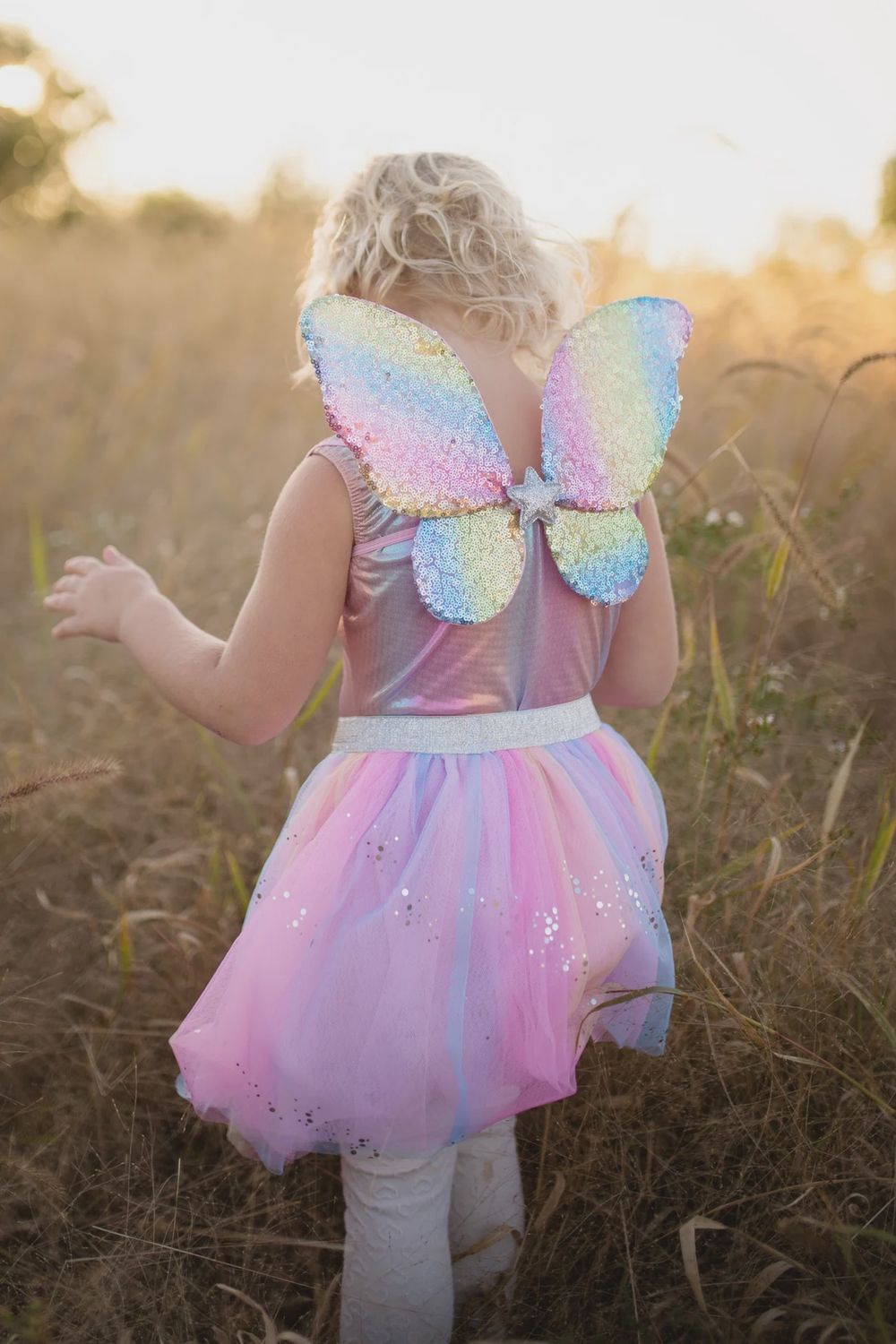 Rainbow Sequin Skirt, Wings &amp; Wand, Size: 4-6