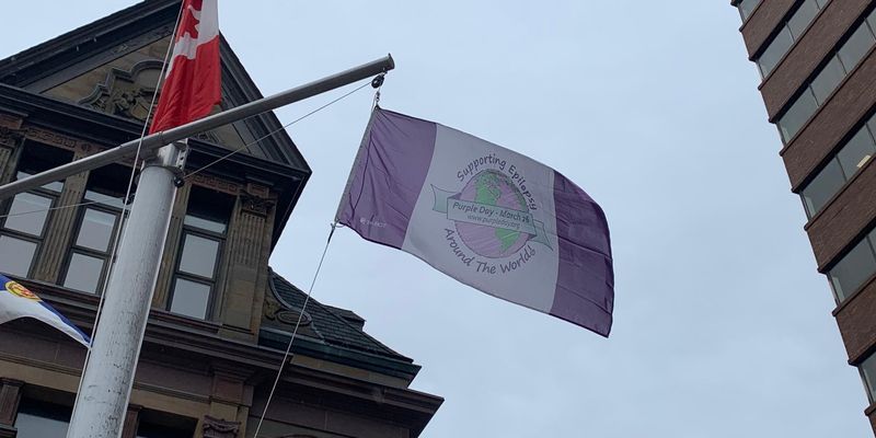 Purple Day/Epilepsy Awareness Flag