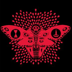 Moth Pullover Sweatshirt: XRAY