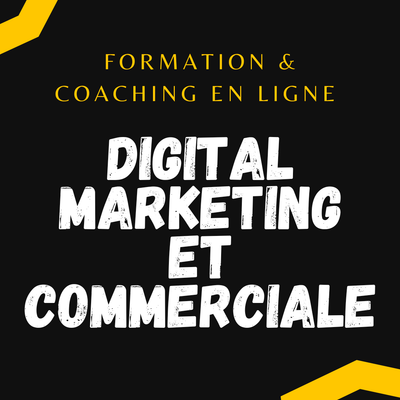 Formation Online  Digital Marketing et Commerciale
