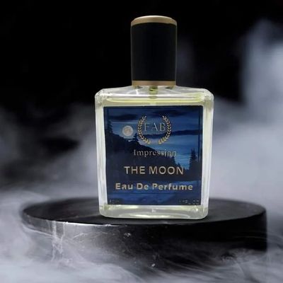 THE MOON