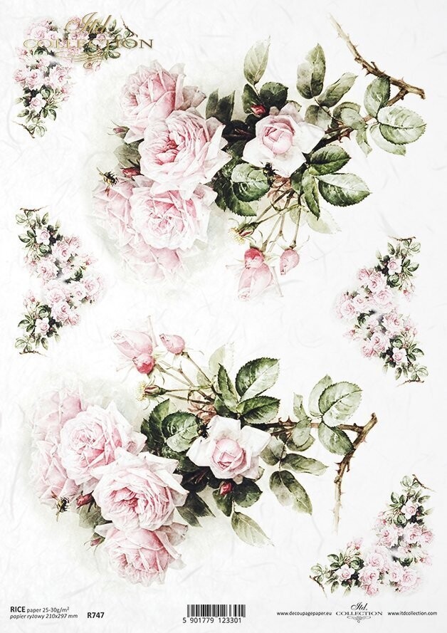 Weiß -Rosa Rosen. Produktfoto. Reispapier A4