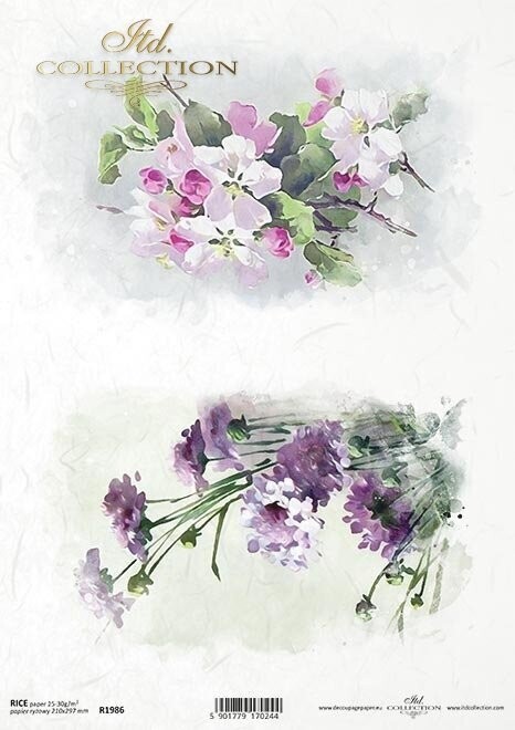 Knoblauchblüten, Blühender Apfelzweig Reispapier A4 von Itd Collection