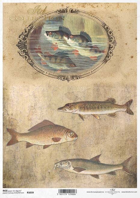 Fisch, Rahmen  Reispapier A4 von ITD Collection