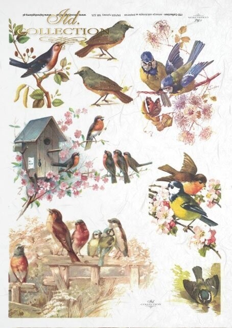 Produktfoto. Vögel ,Zweige, Vogelhaus Reispapier A4 von ITD Collection