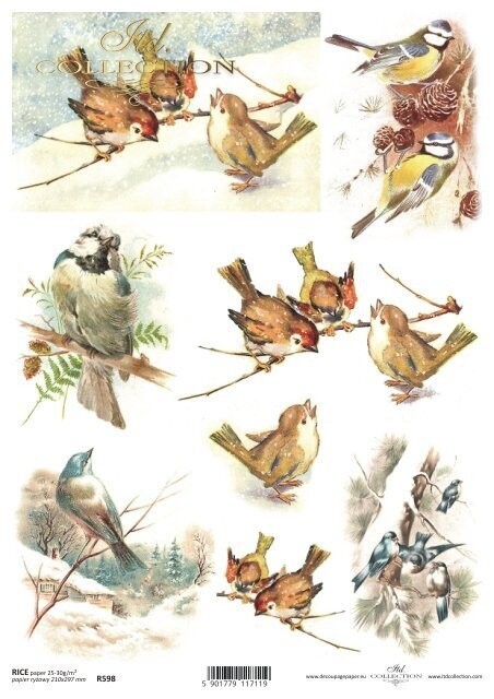 Produktfoto.Vögel, Winter Reispapier A4 von ITD Collection  