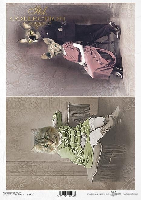 Produktfoto. Katzen in Kostümen  Reispapier A4 von ITD Collection 