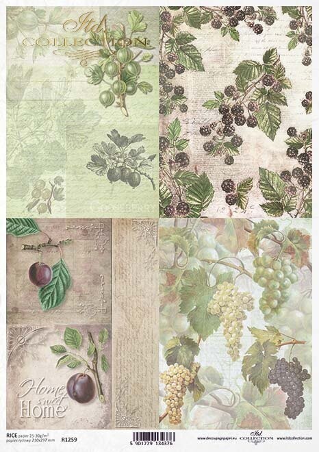 Produktfoto. Trauben, Stachelbeeren, Pflaumen, Brombeeren Reispapier A4 von ITD Collection 