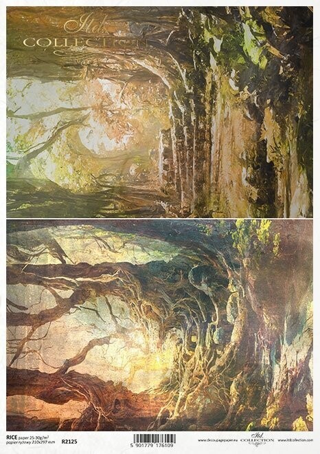 Geheimnisvoller Wald, Bäume Reispapier A4 von ITD Collection 