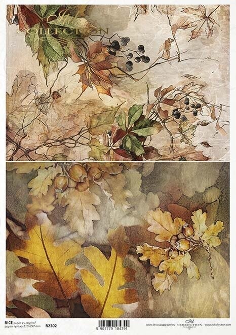 Herbstansichten,  Weinrebe, Eichenblätter,Eicheln  Reispapier A4 von ITD Collection  