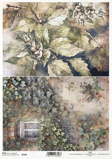 Herbstansichten, Efeu, Fenster, Blätter Reispapier A4 von ITD Collection