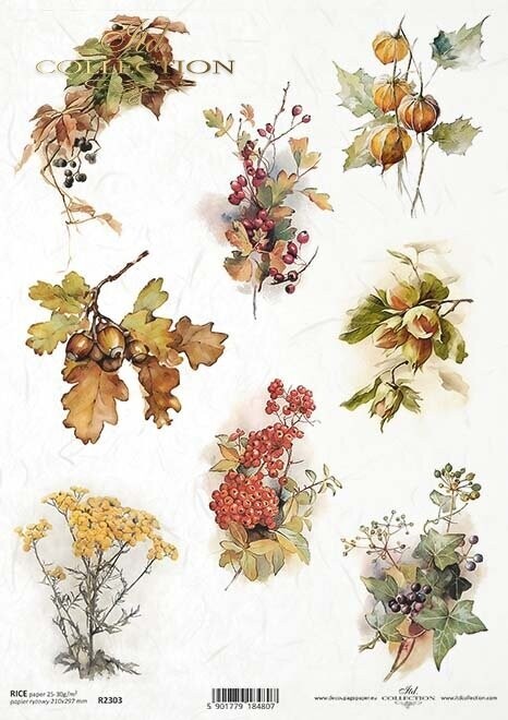 Herbst, Pflanzen, Zweigen Reispapier A4 von ITD Collection 