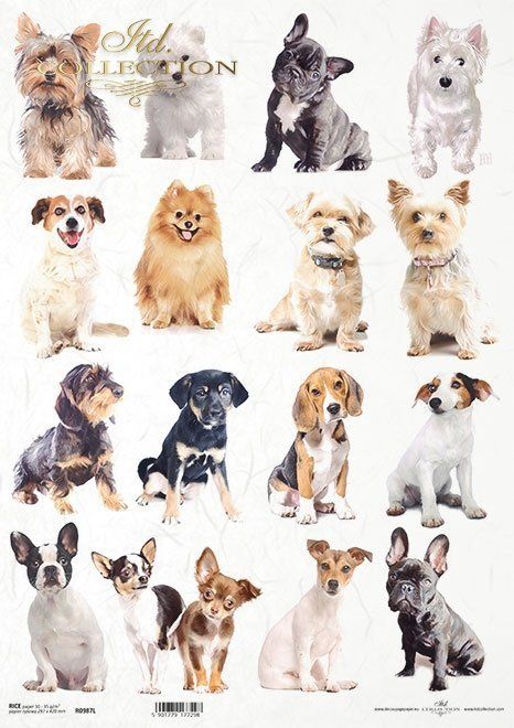 Hunde verschiedene Rassen Reispapier A3 von ITD Collection