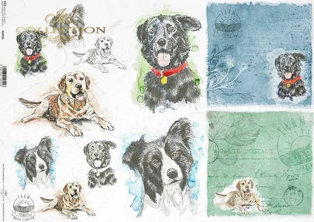 Hunde Inschriften Farm Happy Animals Postkarte  Reispapier A3 von ITD Collection