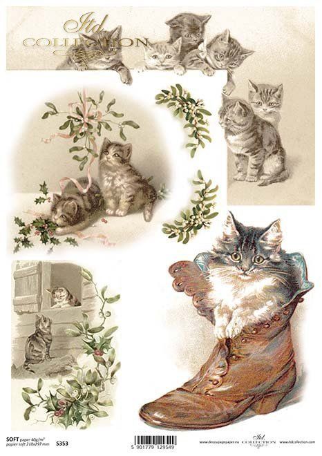 Katzen Kätchen ITD Collection