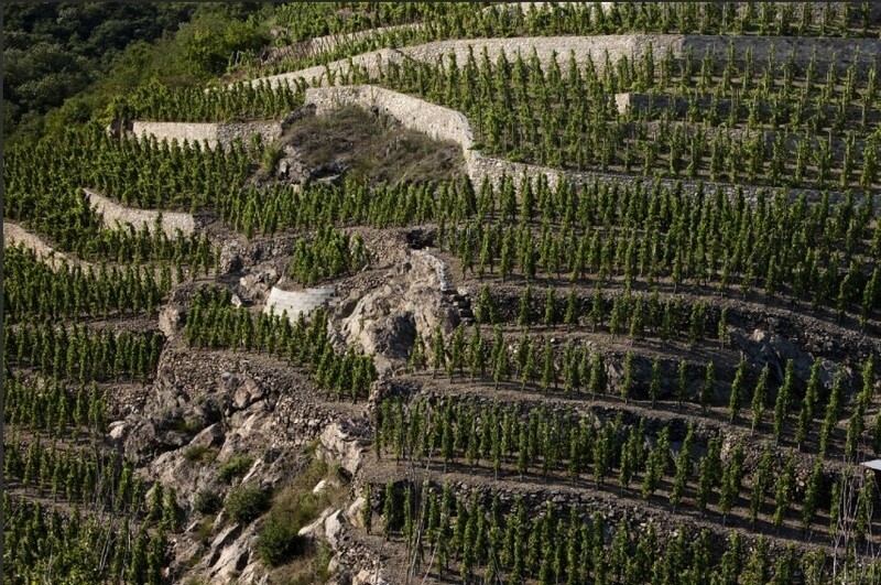 rhone