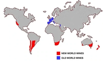 Nieuwe wereld wijnen