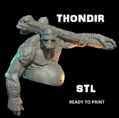 THONDIR BUST STL