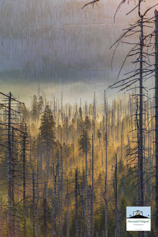 Leinwand Wandbild Morgendunst, Nebel