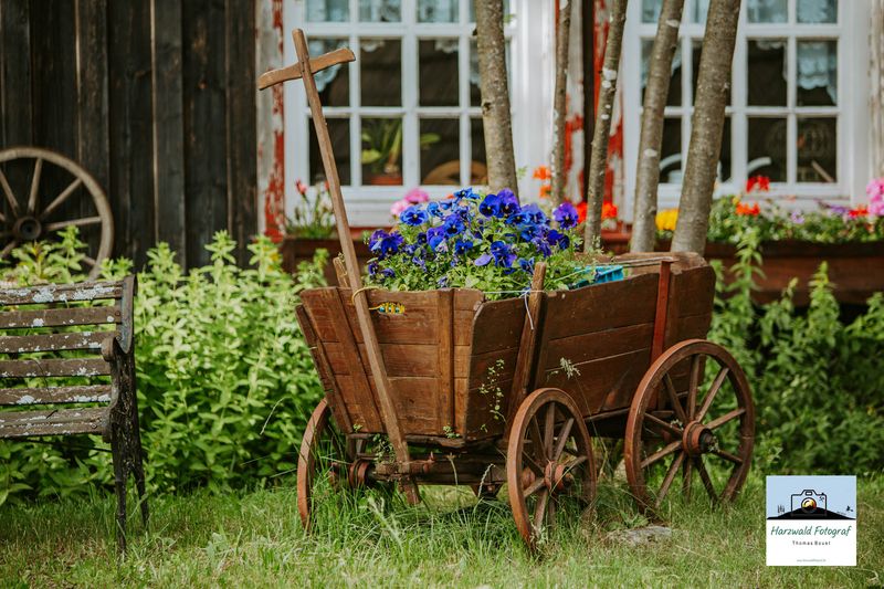 Leinwand Wandbild Handwagen mit Blumen