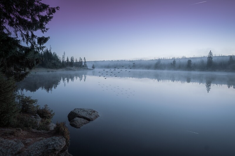 Leinwand Wandbild Oderteich im Morgengrauen