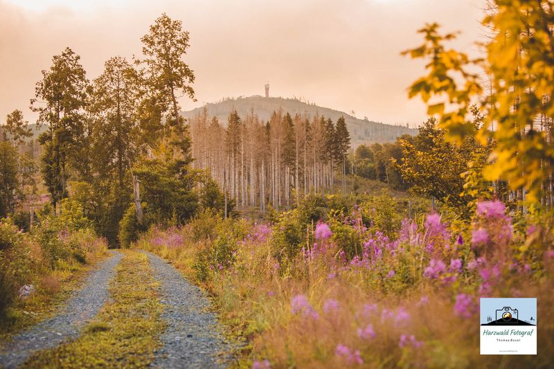 Leinwand Wandbild Wurmberg im Abenddunst