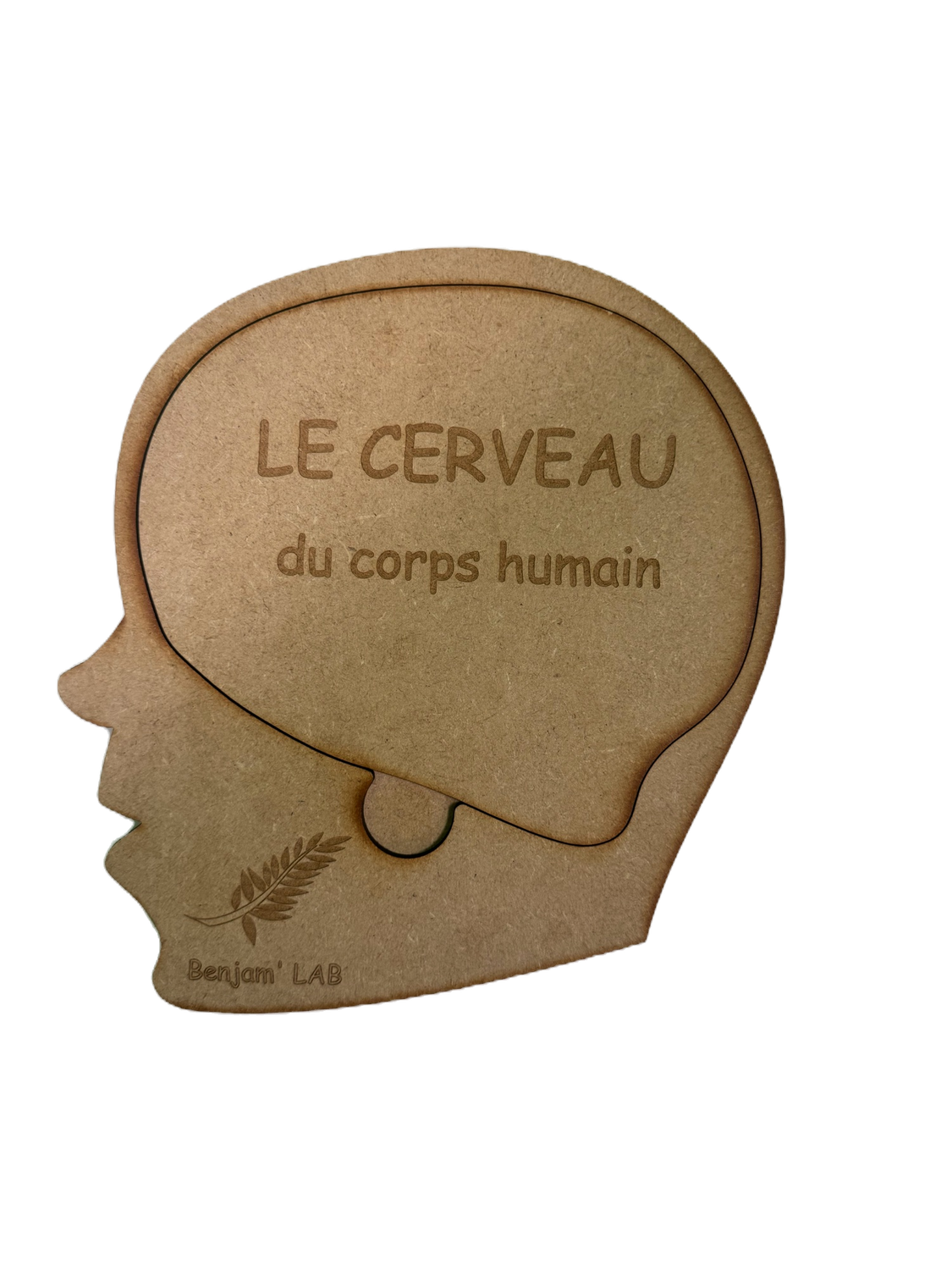 Puzzle Cerveau en bois