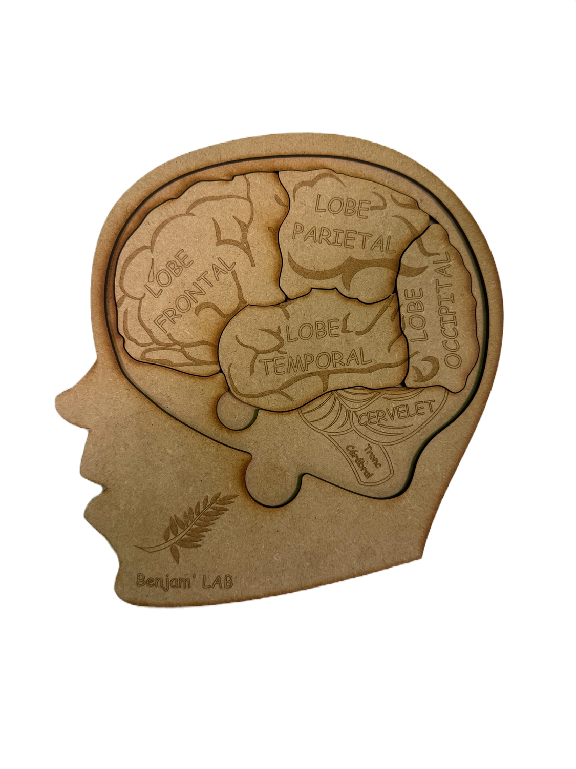 Puzzle Cerveau en bois
