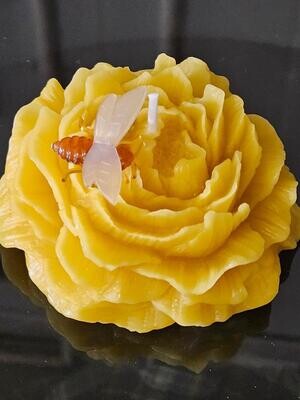 Beeswax Flowers