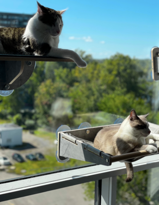 Mimos SkyCity Scratcher/Climbing Post