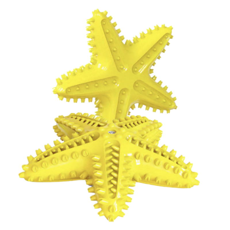 Squeaky Dental Chew Toy - Starfish