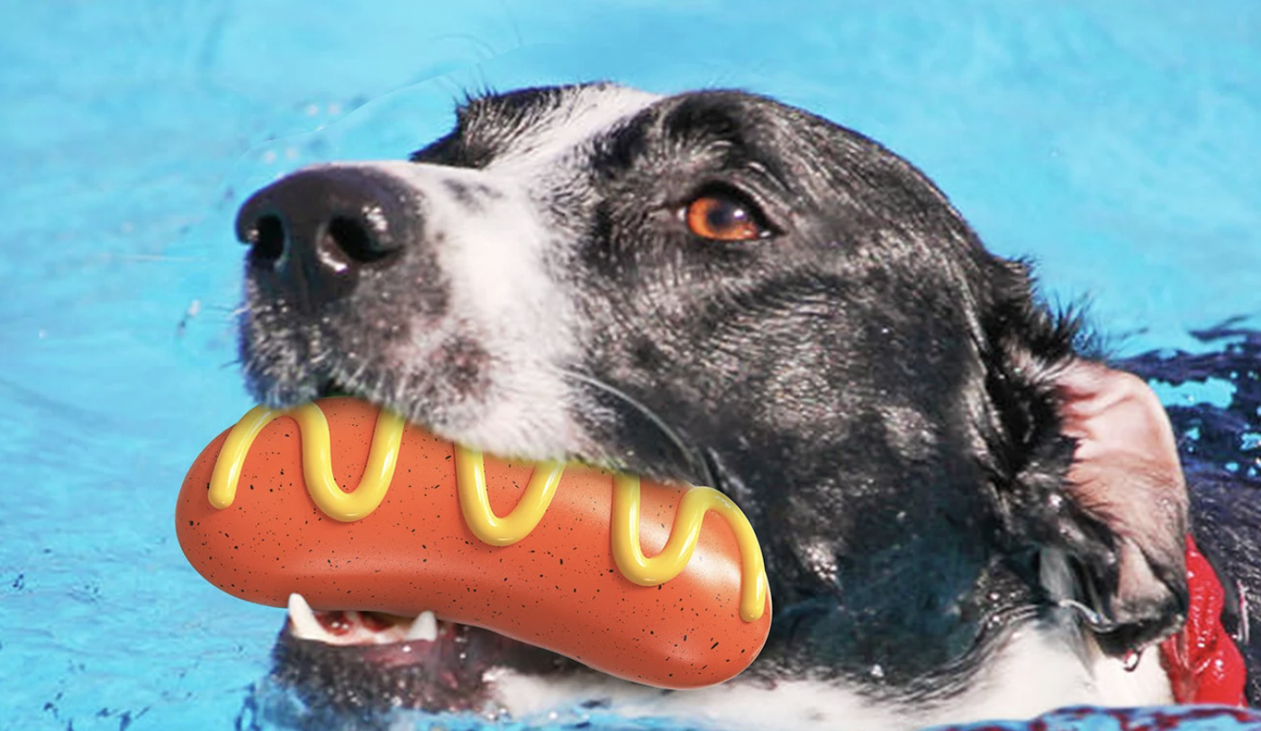 Squeaky Chew Toy Guaranteed Indestructible-Hot-dog