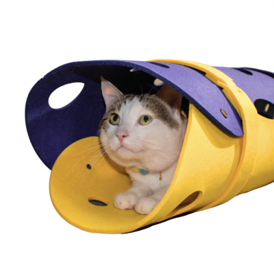 Tunnel ludique pour chat