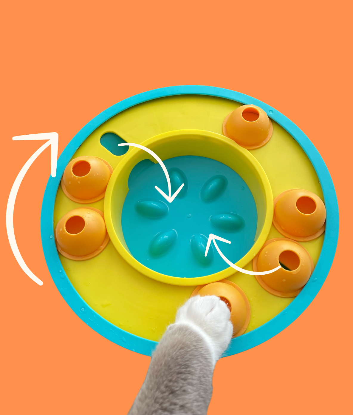Puzzle Toy Beginner Level