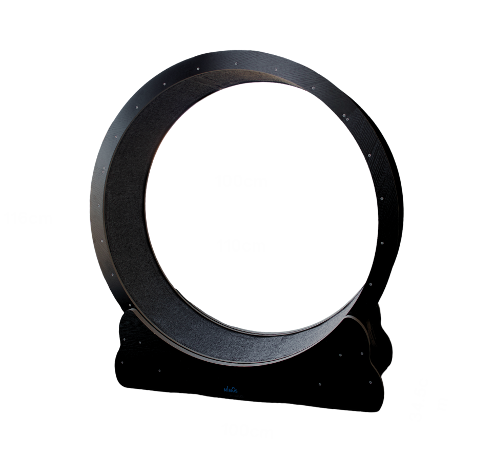 Cat Wheel Treadmill