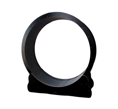 Roue d’exercice pour chat
