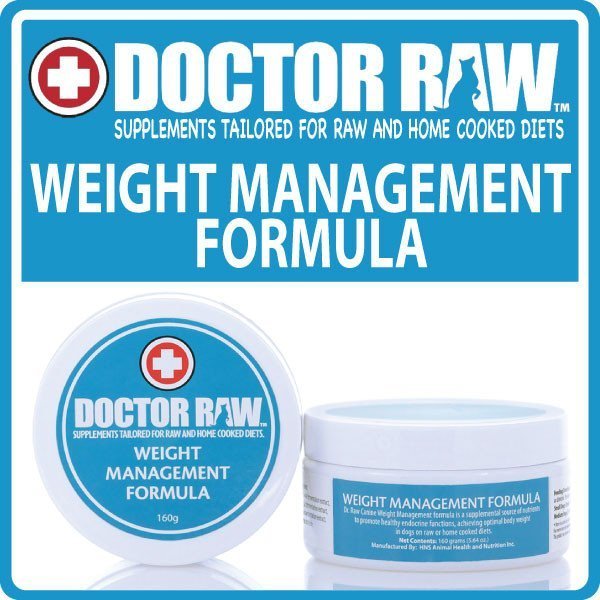 Dr. Raw Weight Managment 160 gm Powder Jar