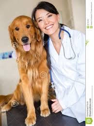 All Canine - Nutritional Screenings