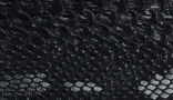 Serpiente - Automotive Vinyl