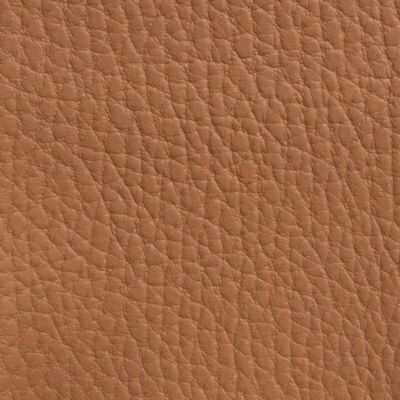 Softside Beluga Marine Vinyl