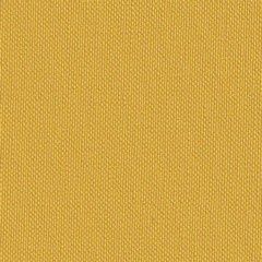 Elysee Marine Vinyl w/ Prefixx