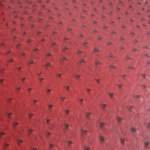 Ostrich - Automotive Vinyl