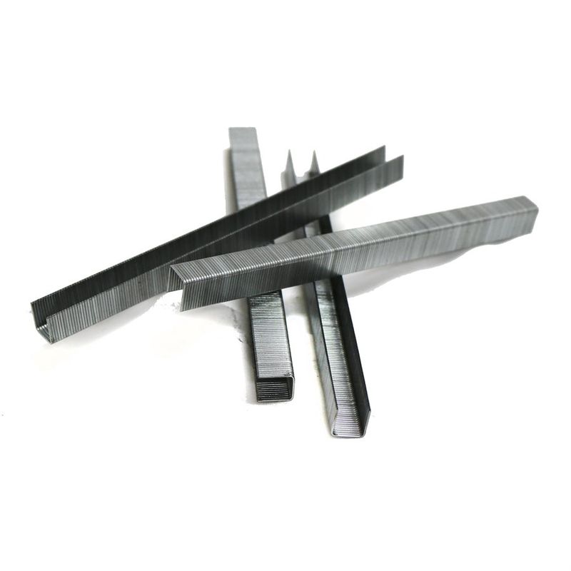Galvanized Staples