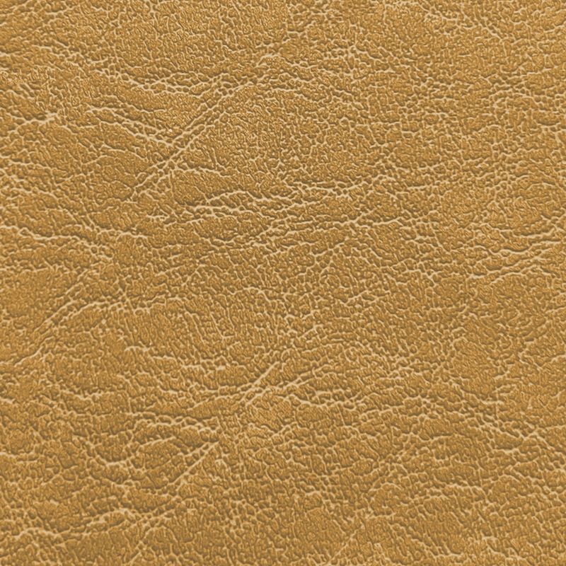 Morbern Carrara