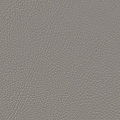 Cetacea Marine Vinyl, Colour: Manatee w/ Prefixx TopCoat 529113