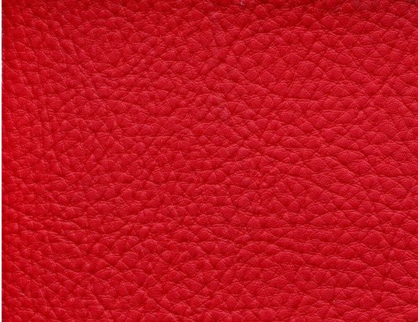 Morbern Prodigy, Colour: PRO- 693 Nu-Red