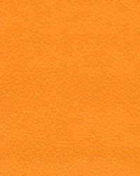 Futura Marine Revolution Vinyl, Colour: Caprina Island Orange Glow CIX-541