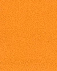 Futura Marine Revolution Vinyl, Colour: Caprina Island Orange Glow CIX-541